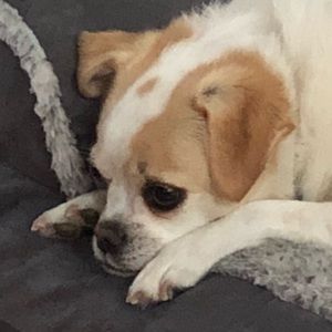 Meet your Posher, Suzanne